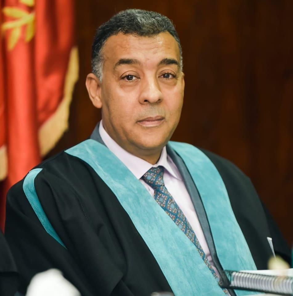 Profesor: Reda Saleh Abdel Hafiz