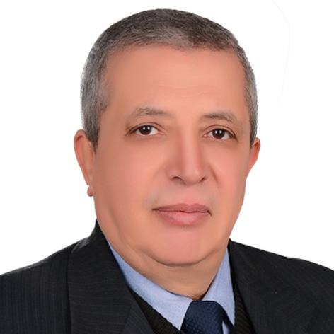 مدحت محمد فرحات